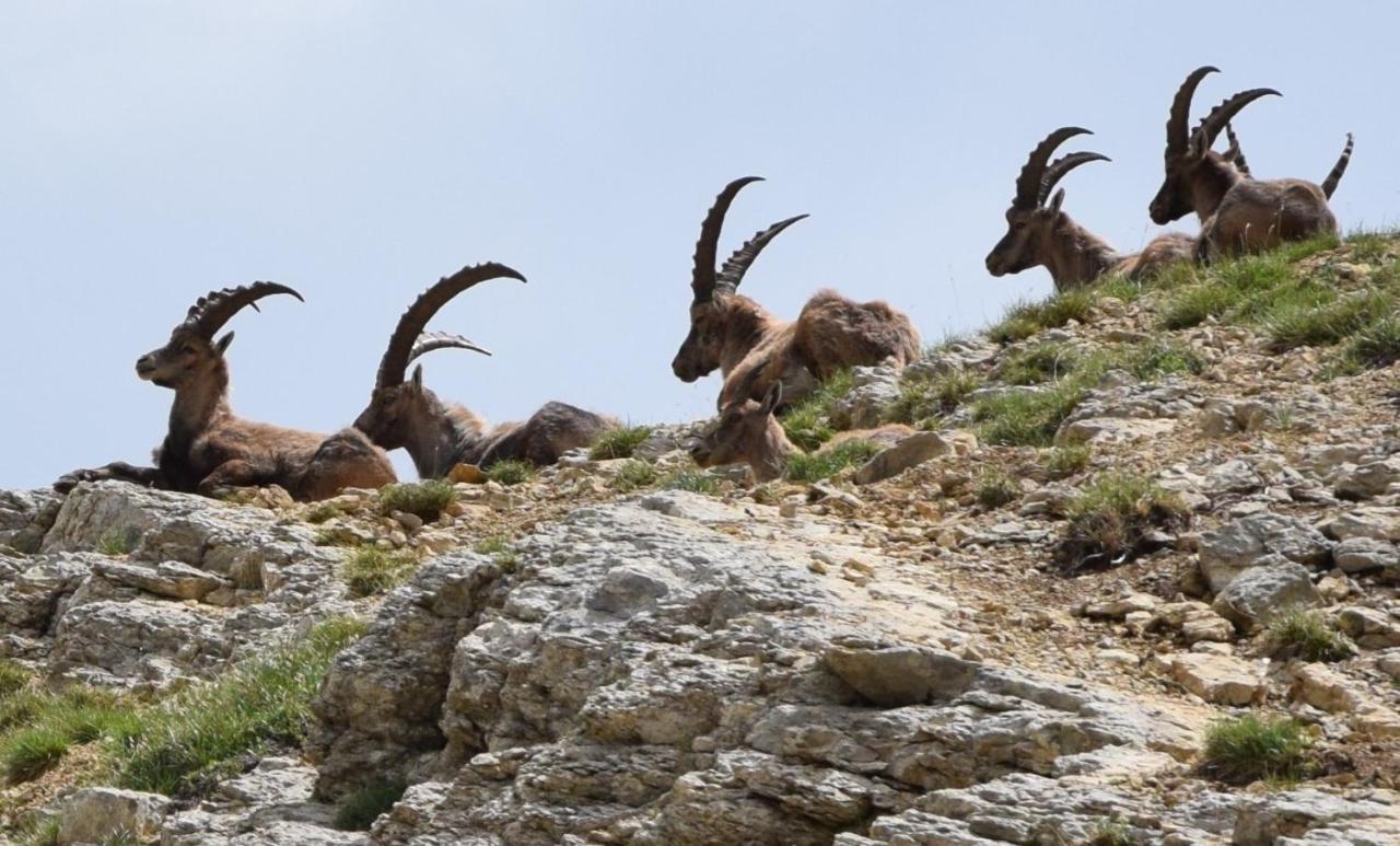 Le Gresse-en-Vercors